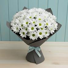 Букет цветов из:  Хризантемы #REPLACE_PRED# Нестерове